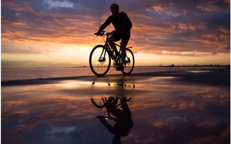 Break Out Your Bike and Hit These Awesome Jax Trails This Fall - JAX Fray